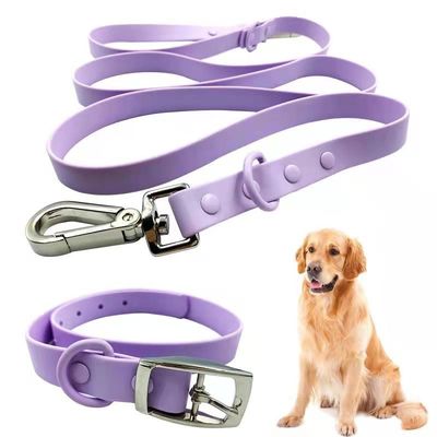 Anti Fouling Waterproof PVC Dog Collar And Leash Set