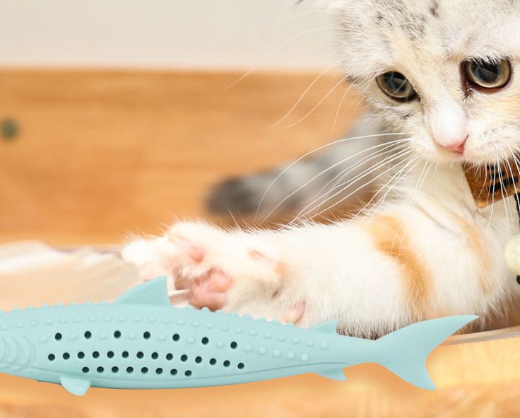 Interactive Safe Rubber Crayfish Chew Toys For Kittens Teething With Catnip